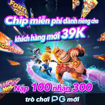 BRINCOPG